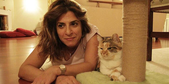 Ekranların sevilen kedisi Zümrüt Şaziye sokak hayvanlarına yardım götürüyor
