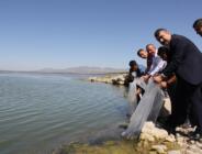 Suğla Gölüne 100 Bin Sazan Yavrusu Bırakıldı