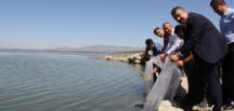 Suğla Gölüne 100 Bin Sazan Yavrusu Bırakıldı