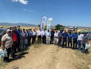 Yalıhüyük Belediyesi Hububat hasat şöleni düzenledi