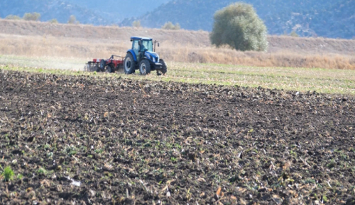 Seydişehir Belediyesi Ürün Ekimine Başladı