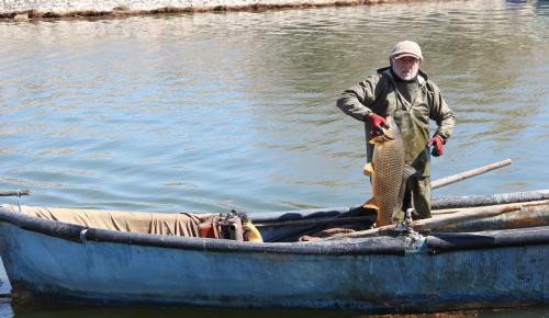Suğla gölünde Bereketli Balık sezonu: Avcılar da Kooperatif de Memnun
